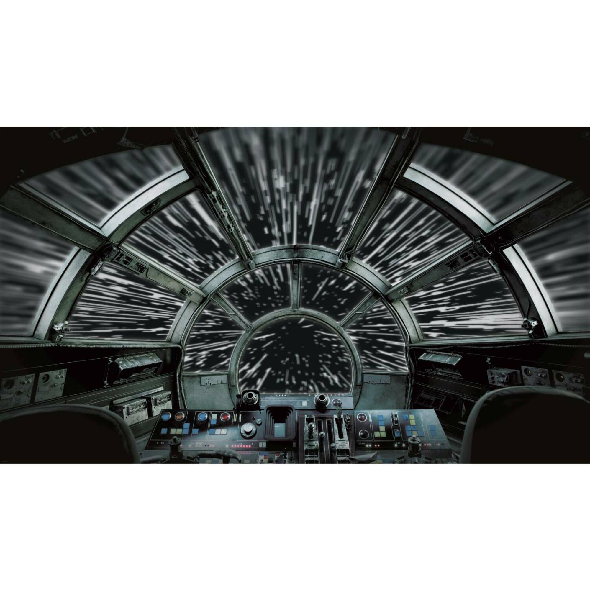 RoomMates Star Wars Millennium Falcon Peel & Stick Mural